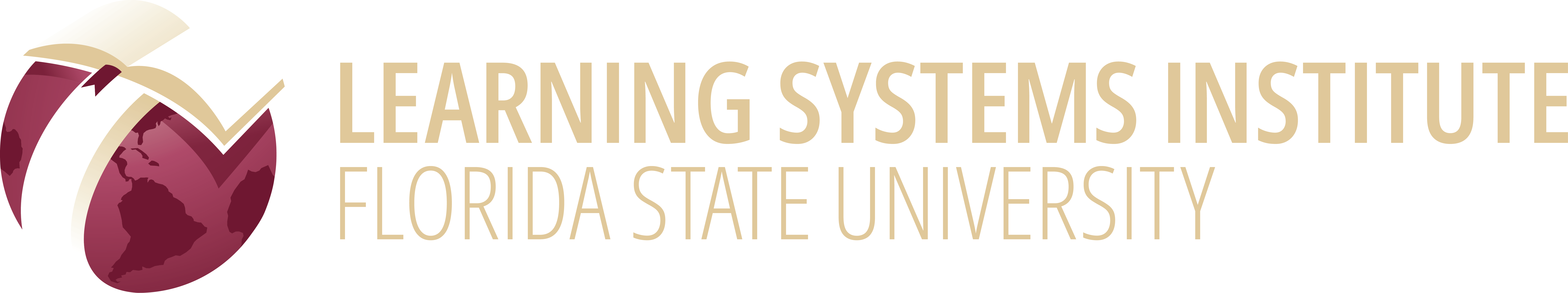 "LSI Globe logo and wordmark"