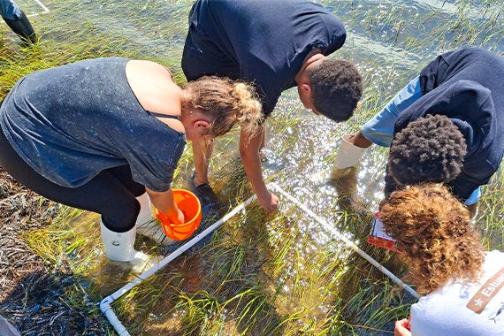 Group of students collecting samples on the shore of a lake. 