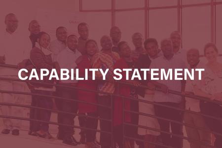 Graphic for the LSI Capability Statement. Shows the title and a photo of 16 people gathered at the top of a staircase in front of a USAID sign.