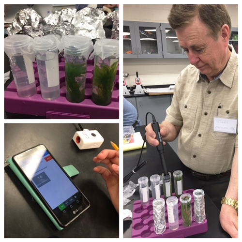 "Three photo collage showing a man using an electronic device connected to a smart phone to take measurements from plants inside test tubes"