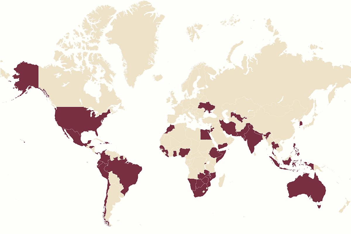 "World map. Countries are Garnet and Gold. Garnet represents a country where LSI has worked."
