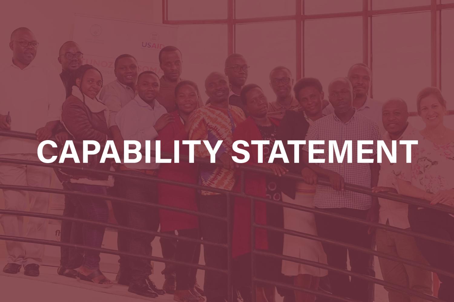 "Graphic for the LSI Capability Statement. Shows the title and a photo of 16 people gathered at the top of a staircase in front of a USAID sign."