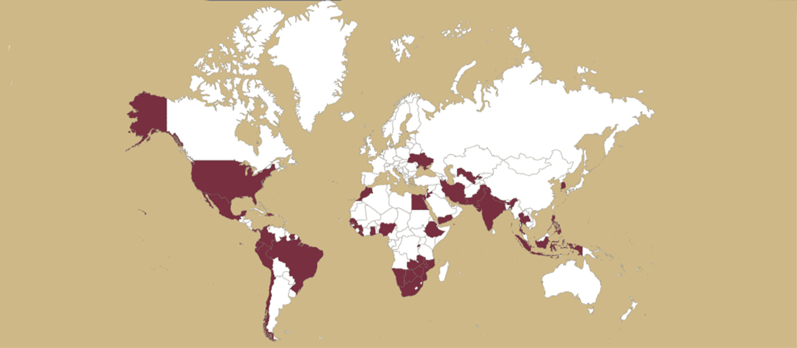 "A world map with each of the 44 countries LSI has conducted a project or worked in colored Garnet."