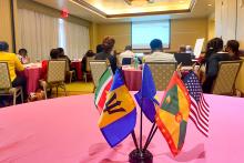 St. Lucia, Grenada, USA and Suriname flags on a table at a presentation
